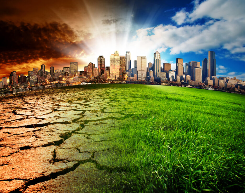Could you survive a global technological failure?